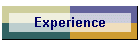 Experience